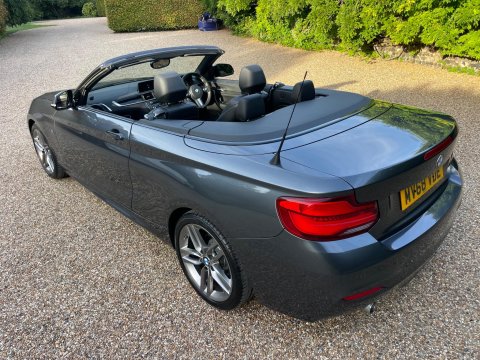 BMW 2 Series 2.0 218d M Sport Convertible 2dr Diesel Manual Euro 6 (s/s) (150 ps) 11