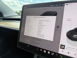 Tesla Model 3 (Dual Motor) Performance Saloon 4dr Electric Auto 4WDE (Performance Upgrade 38