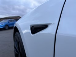 Tesla Model 3 (Dual Motor) Performance Saloon 4dr Electric Auto 4WDE (Performance Upgrade 46