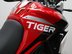 Triumph Tiger 900 TIGER 900 GT ARAGON EDITION 38