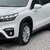 Suzuki S-Cross MOTION 2