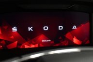 Skoda Octavia 2.0 Octavia vRS TDI Semi-Auto 5dr 14
