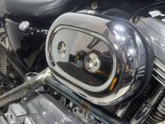 Harley-Davidson Sportster 883 2003 ONLY 8K NEW MOT IDEAL FIRST HARLEY READY TO RIDE A2 42