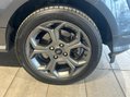 Ford Ecosport 1.0T EcoBoost GPF ST-Line SUV 5dr Petrol Manual Euro 6 (s/s) (125 ps) 11