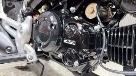 Honda MSX125 GROM 125 2022 5 SPEED 6K MOT OCTOBER 2027 125CC MINI BIKE 22