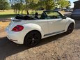 Volkswagen Beetle SPORT TDI BLUEMOTION TECHNOLOGY DSG 24