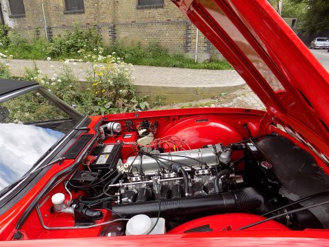Triumph TR6 125 bhp Sports 21