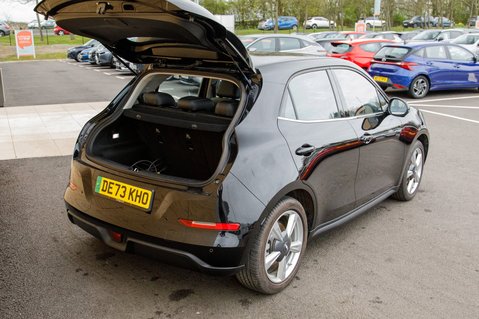 GWM Ora Funky Cat FIRST EDITION 36