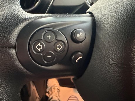 Mini Paceman 1.6 Cooper S Auto Euro 5 3dr 14