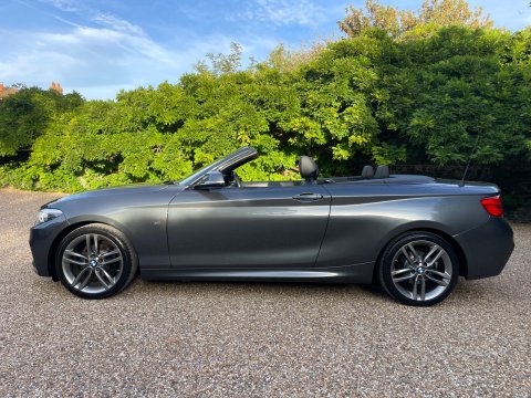 BMW 2 Series 2.0 218d M Sport Convertible 2dr Diesel Manual Euro 6 (s/s) (150 ps) 8