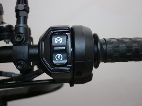 Indian FTR1200 FTR 1200 18