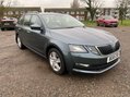 Skoda Octavia SE TSI DSG 2