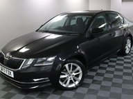 Skoda Octavia SE L TSI DSG 20