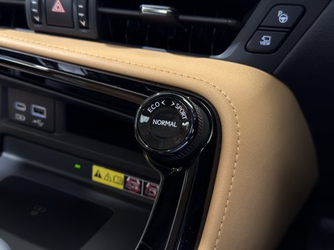 Lexus NX 450H PLUS TAKUMI 85