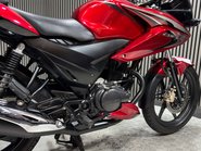 Honda CBF125 CBF125 2013 ONLY 16K 1 FORMER OWNER MOT WARRANTY 125CC 7