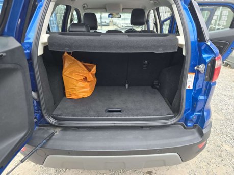 Ford Ecosport 1.0T EcoBoost GPF Titanium SUV 5dr Petrol Auto Euro 6 (s/s) (125 ps) 30