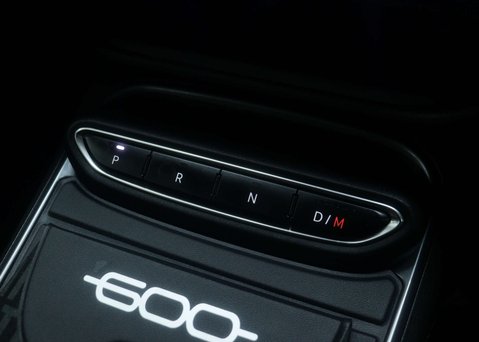 Fiat 600 1.2 600 MHEV Auto 5dr 29