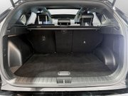 Hyundai TUCSON 1.6 T-GDi MHEV N Line S SUV 5dr Petrol Hybrid DCT Euro 6 (s/s) (150 ps) Cru 22