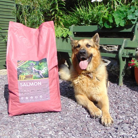 Real food for your four-legged best friend