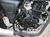 Mutt Akita 125 Pre-registered 20