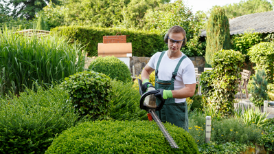 Top 5 Best Vans for Gardeners