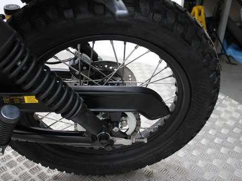 Mutt Mastiff 125 Pre-registered 17