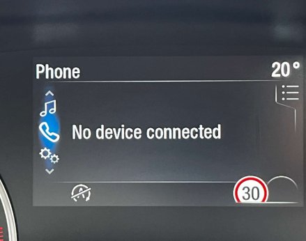 Ford Ecosport 1.0 EcoSport ST-Line 5dr 31