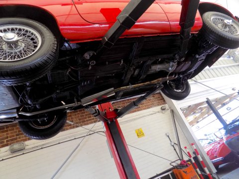 MG B GT 40