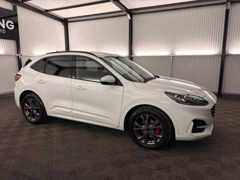 Ford Kuga 1.5 EcoBlue ST-Line Edition Auto Euro 6 (s/s) 5dr 55