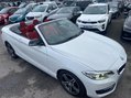 BMW 2 Series 2.0 220i Sport Euro 6 (s/s) 2dr 8