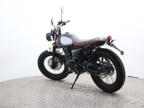 Mutt Mastiff 125 Pre-registered 6