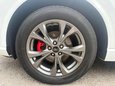 Ford Kuga ST-LINE FIRST EDITION 13