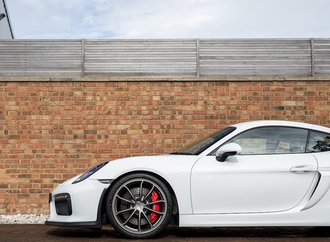 Porsche Cayman (981) GT4 24