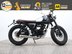 Mutt Mastiff 125 Pre-registered