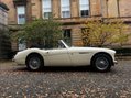 Austin Healey 3000 6
