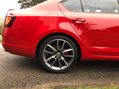 Skoda Octavia VRS TDI DSG 47