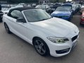 BMW 2 Series 2.0 220i Sport Euro 6 (s/s) 2dr 9