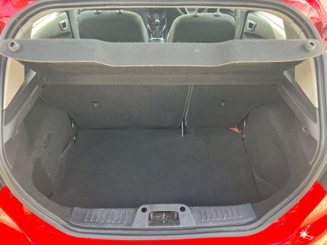 Ford Fiesta ZETEC 13