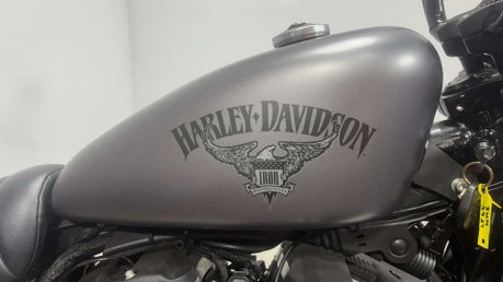 Harley-Davidson Sportster 883 XL N IRON 2016 ONLY 2K MOT VERY CLEAN CUSTOM CRUISER BIKE 42