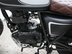 Mutt Mastiff 125 Pre-registered 25
