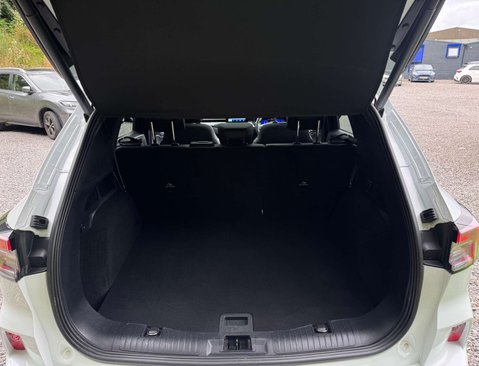 Ford Kuga 2.0 Kuga ST-Line X EcoBlue MHEV 5dr 48