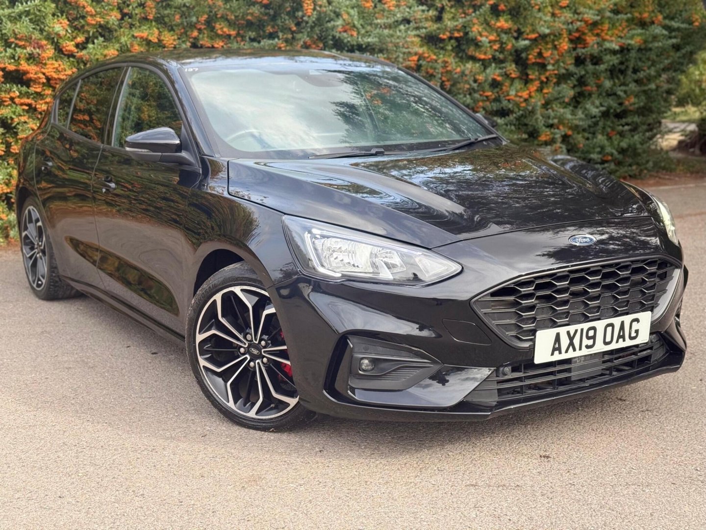 2019 Ford Focus