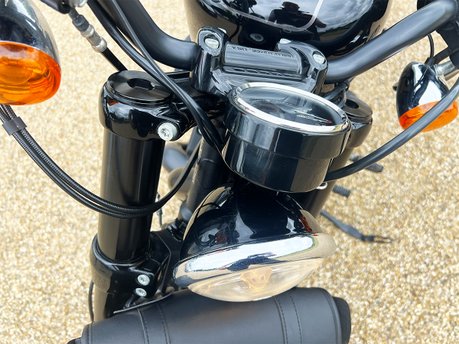 Harley-Davidson Sportster Iron XL 1200 CX ROADSTER 17 21