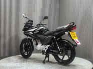 Honda CBF125 CBF125 2012 ONLY 6K MOT SERVICED ICONIC LEARNER BIKE 125CC 5
