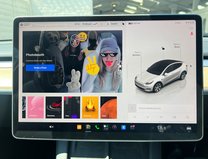 Tesla Model Y (Dual Motor) Long Range SUV 5dr Electric Auto 4WDE (384 bhp) 34