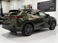Lexus NX 350H TAKUMI 20