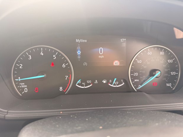 Ford Ecosport ACTIVE 21