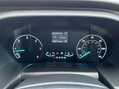 Ford Transit 350 LIMITED P/V ECOBLUE 16