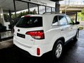 Kia Sorento 2.2 CRDi KX-1 AWD Euro 5 5dr 11