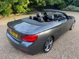 BMW 2 Series 2.0 218d M Sport Convertible 2dr Diesel Manual Euro 6 (s/s) (150 ps) 15
